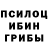 Псилоцибиновые грибы мухоморы Begeta