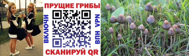 Псилоцибиновые грибы мухоморы  omg ССЫЛКА  Костерёво  хочу  